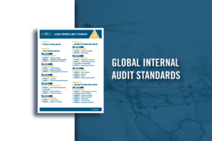Global Internal Audit Standards